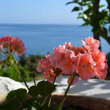 Eden Sea View Apartment Mesongi